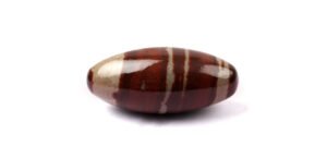 narmadeshwar shivling