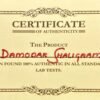 damodar shaligram certified