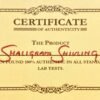 shaligram shivling certified