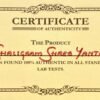 shaligram shree yantra certified