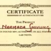 narmadeshwar shivling certificate