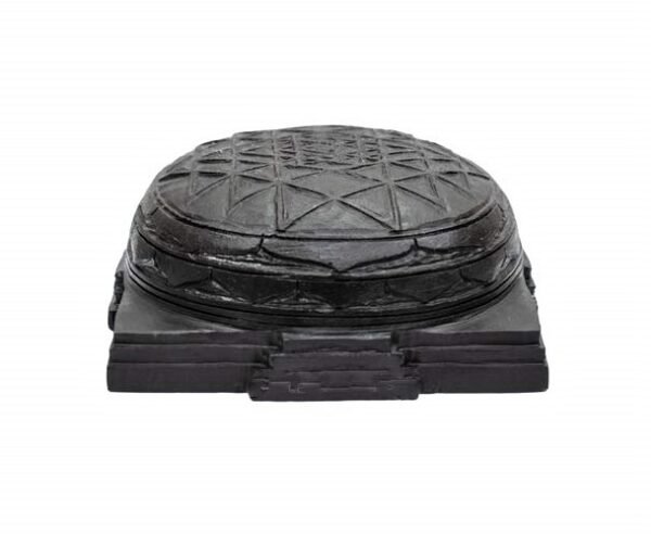 shaligram kurma yantra gangtarang.com