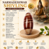 narmada shivling infographics