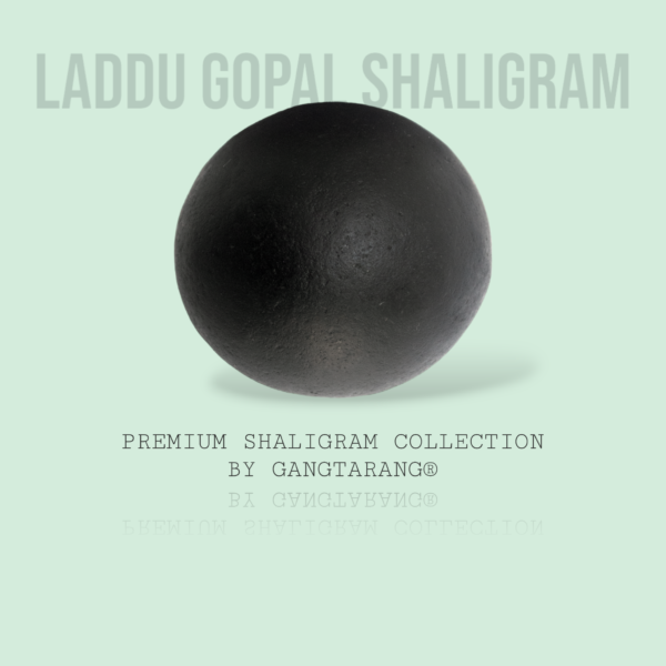 laddu gopal shaligram gangtarang.com