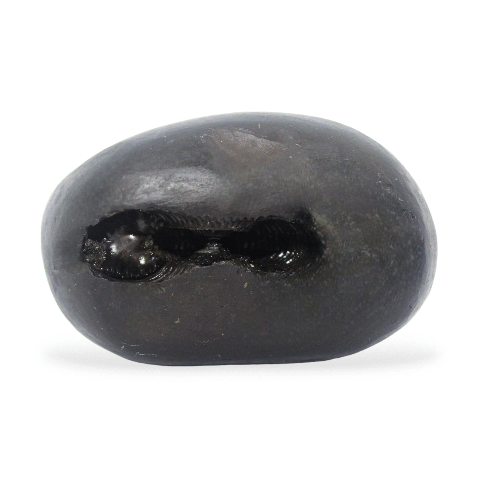 lakshmi narsimha shaligram gangtarang.com
