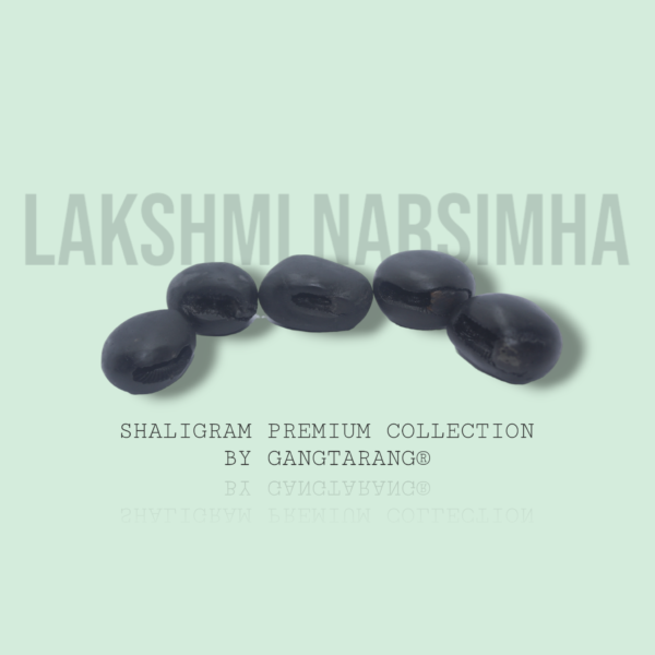 lakshmi narsimha shaligram gangtarang.com