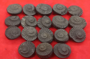 nepal sudarshan shaligram original