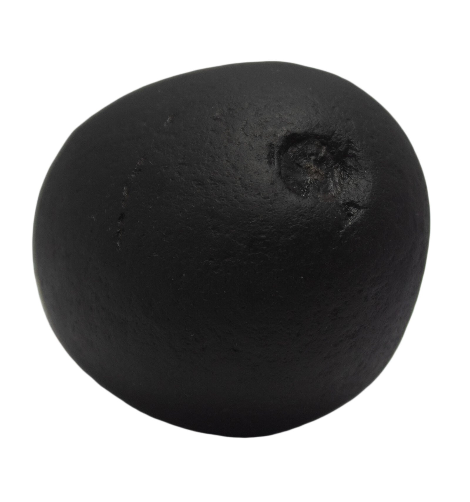 HIRYANYAGARBHA TILAK by Gangtarang®: 7th Chakra Shaligram Shila | From Nepal Gandaki River (Above 3 cm) - Image 3