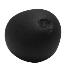 HIRYANYAGARBHA TILAK by Gangtarang®: 7th Chakra Shaligram Shila | From Nepal Gandaki River (Above 3 cm) - Image 3