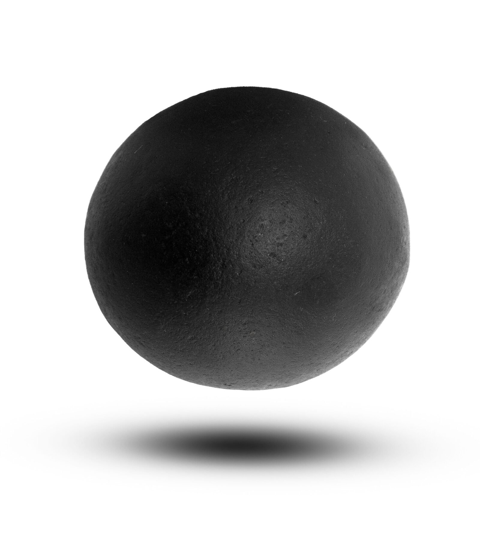 nepal shaligram shila