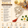 vaijanti mala infographics
