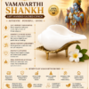 vamavarti shankh infographics