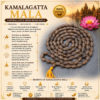 kamal gatta mala infographics