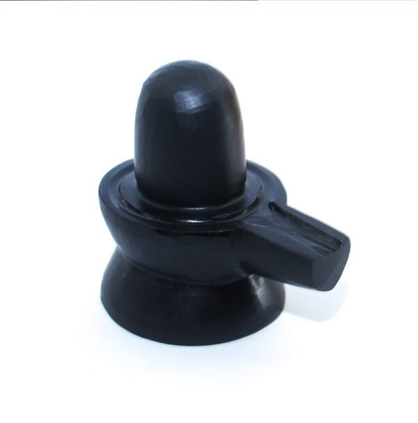 SHALIGRAM SHIVLING