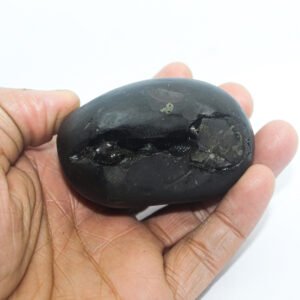 LAXMI-NARSIMHA SHALIGRAM