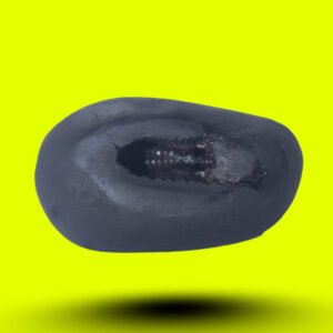 MATSYA SHALIGRAM SHILA