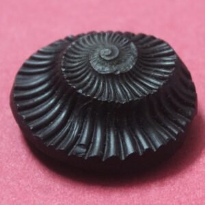 SUDARSHAN SHALIGRAM