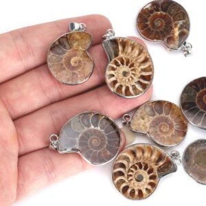AMMONITE FOSSIL PENDANT by Gangtarang®: Another Family of Sudarshan Shaligram Stone - Image 3