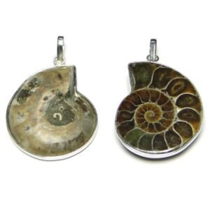 AMMONITE FOSSIL PENDANT by Gangtarang®: Another Family of Sudarshan Shaligram Stone - Image 2