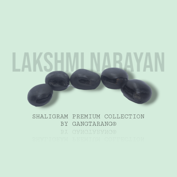 lakshmi narayan shaligram gangtarang.com