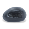 vasudev shaligram gangtarang.com