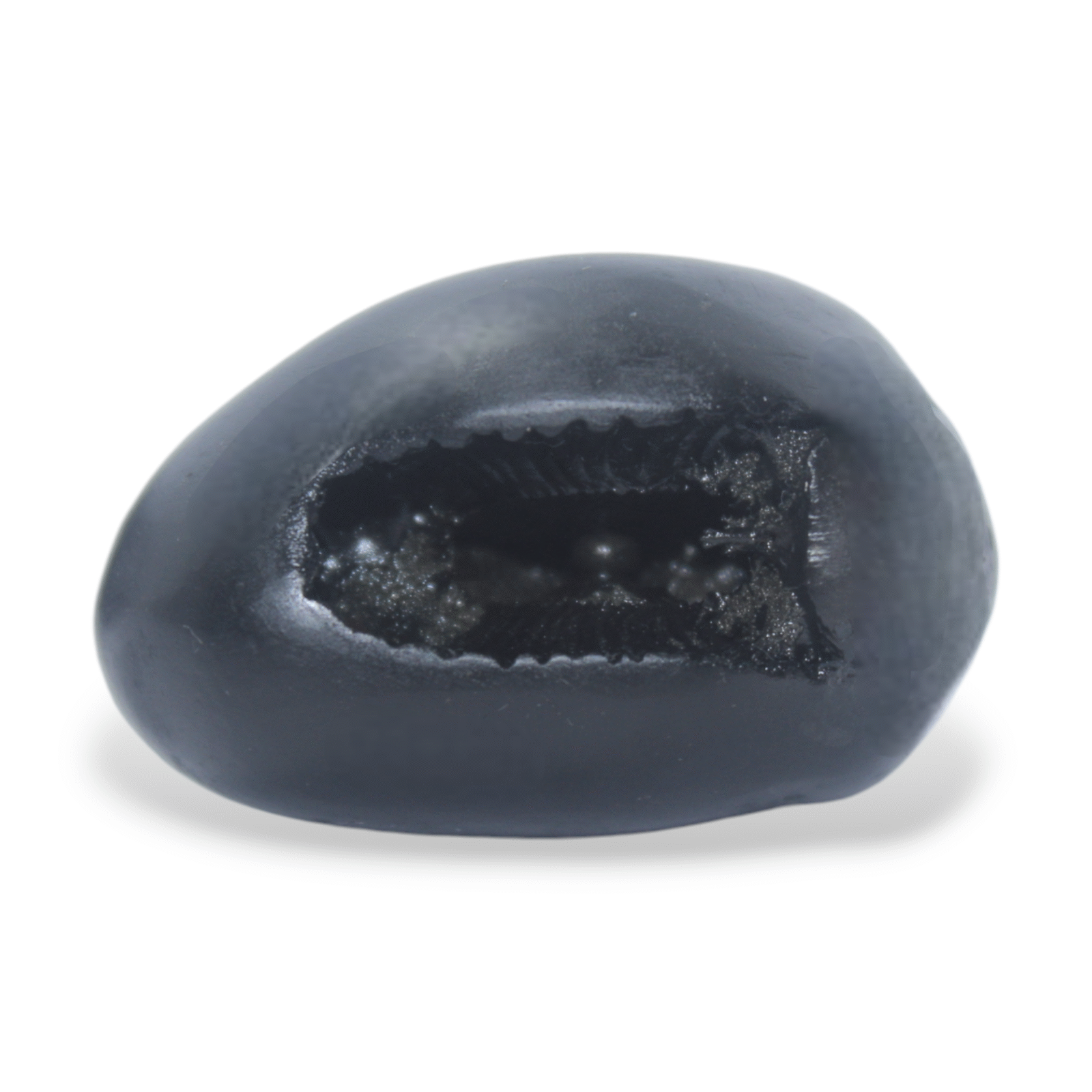 vasudev shaligram gangtarang.com