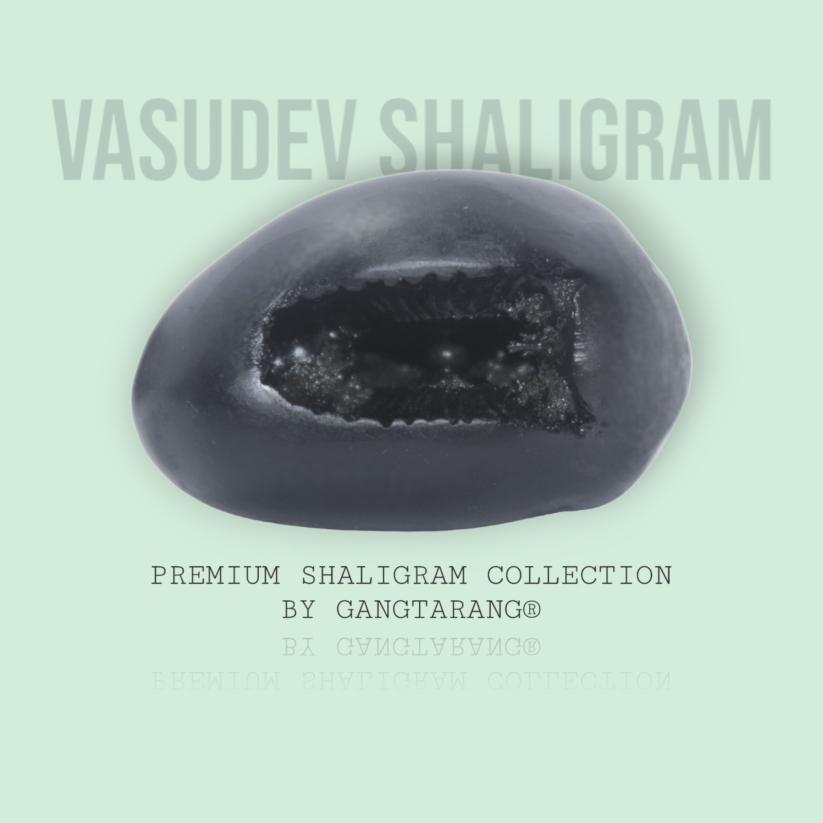 VASUDEV SHALIGRAM by Gangtarang®: Invites Divine Blessings - Shaligram from Nepal Gandaki River - Image 4