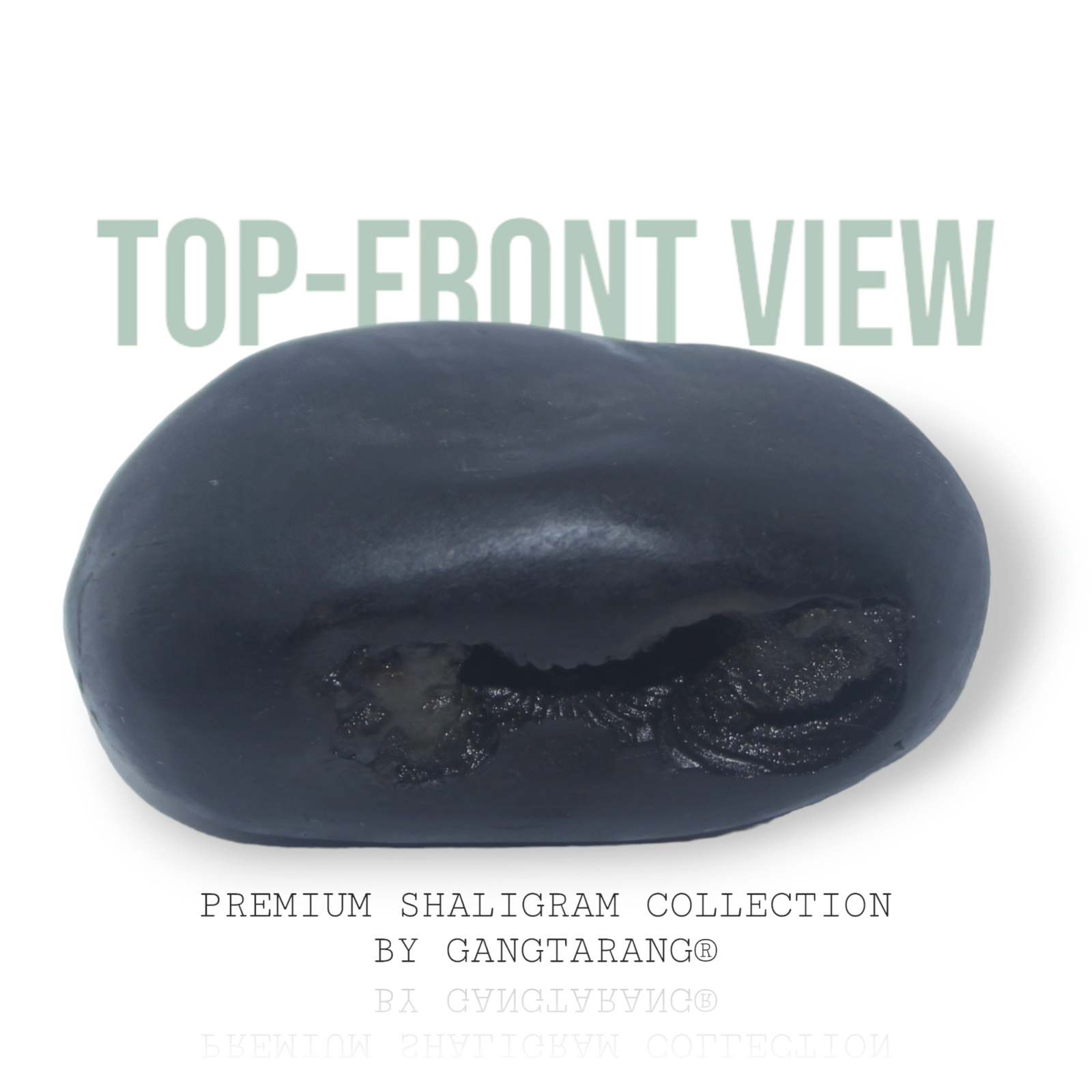 VASUDEV SHALIGRAM by Gangtarang®: Invites Divine Blessings - Shaligram from Nepal Gandaki River - Image 2