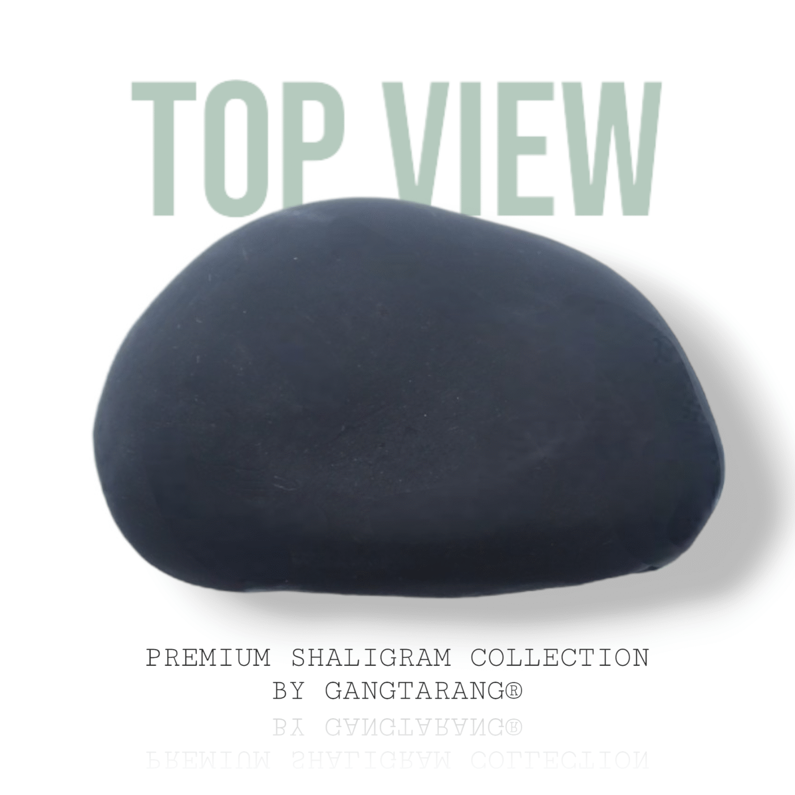 VASUDEV SHALIGRAM by Gangtarang®: Invites Divine Blessings - Shaligram from Nepal Gandaki River - Image 3