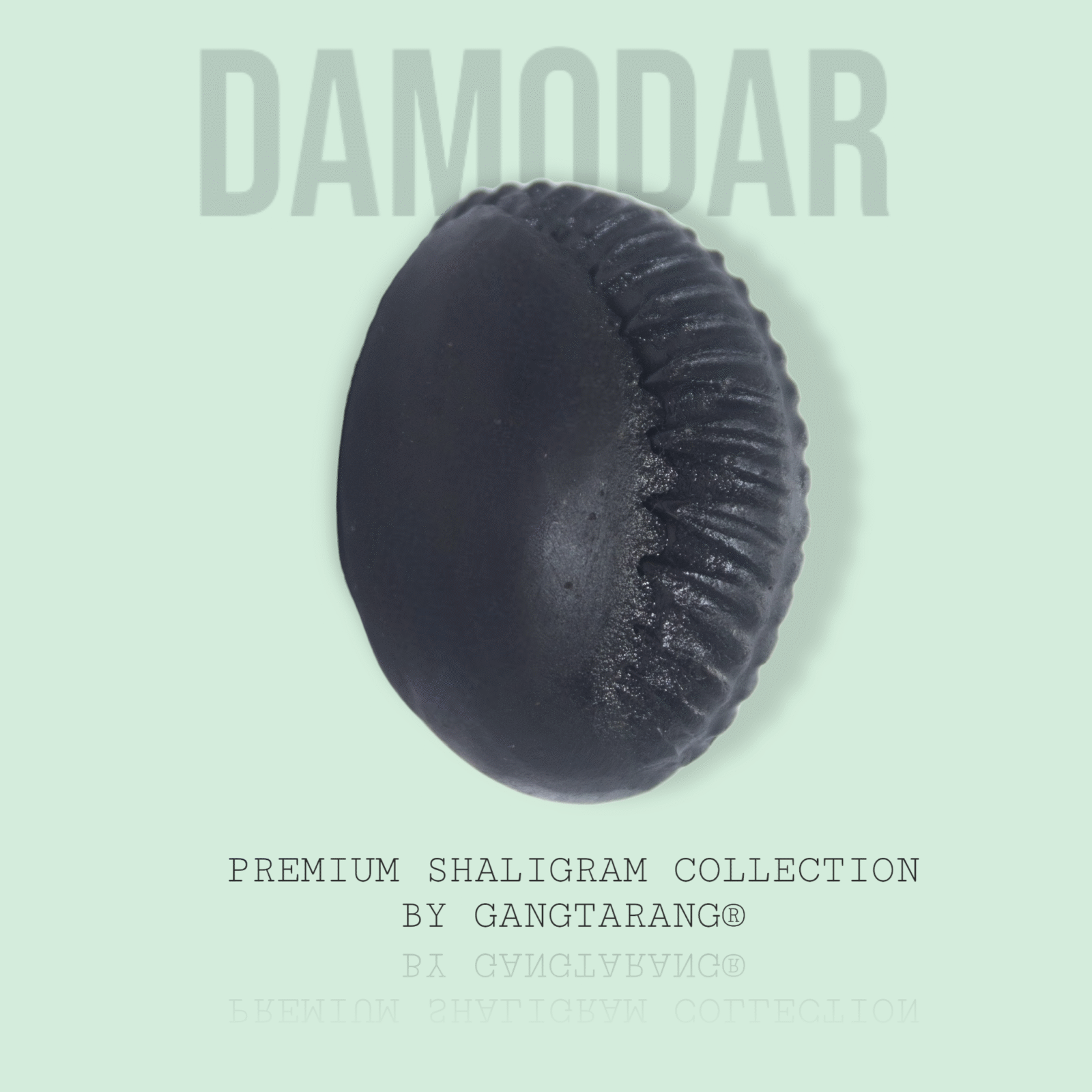 damodar shaligram gangtarang.com