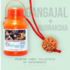 gangajal nepali rudraksha gangtarang.com