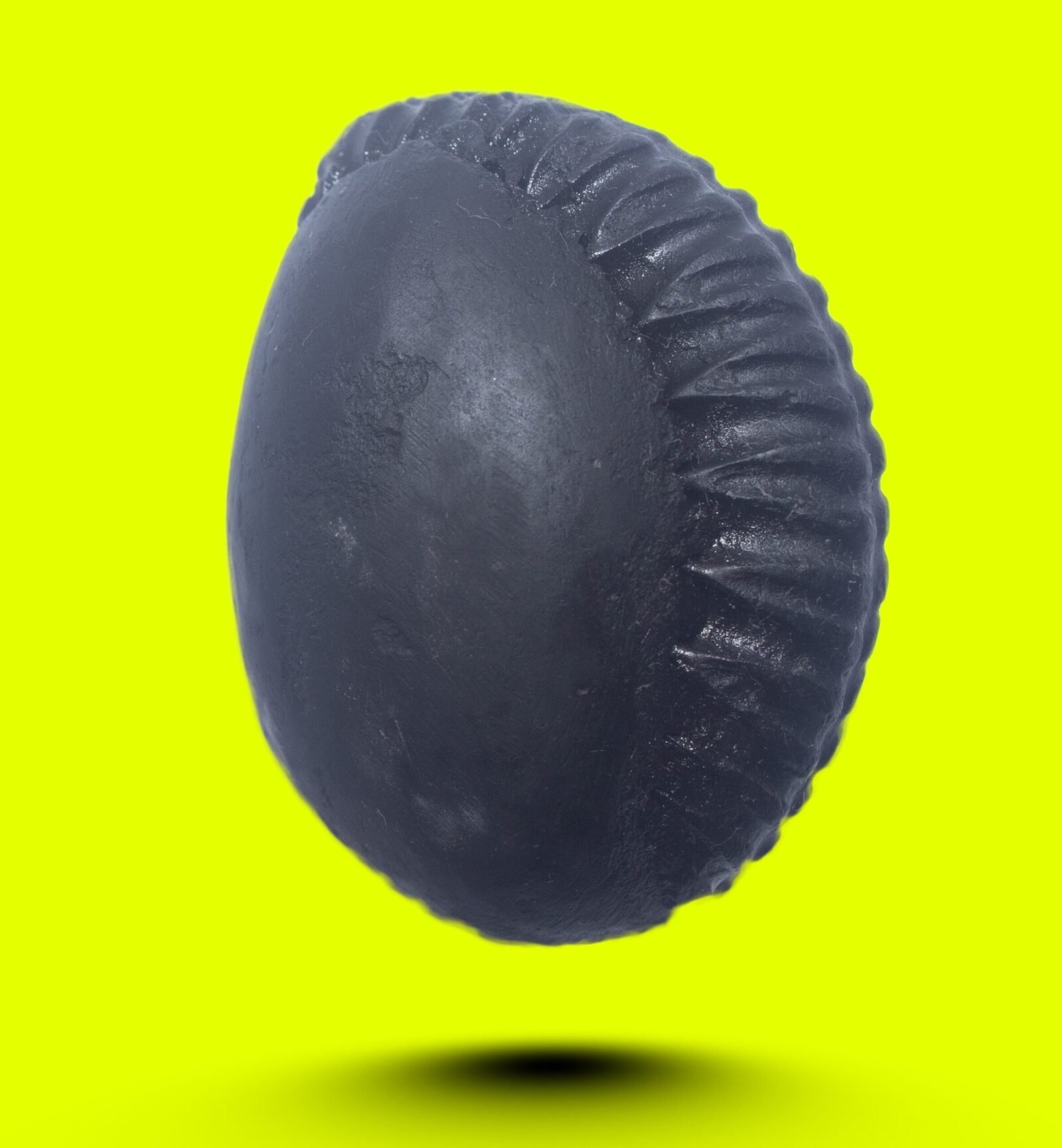 DAMODAR SHALIGRAM by Gangtarang®: Symbol of Lord Vishnu's Love - Shaligram from Nepal Gandaki River