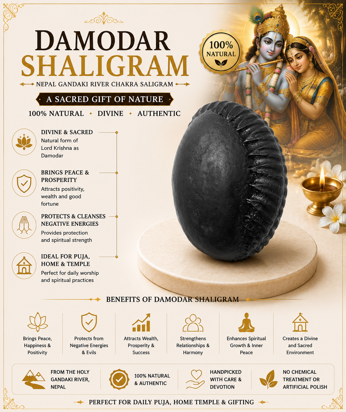 DAMODAR SHALIGRAM by Gangtarang®: Symbol of Lord Vishnu's Love - Shaligram from Nepal Gandaki River 2 damodar shaligram infographics