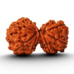 GAURI SHANKAR RUDRAKSHA by Gangtarang®: AAA Quality | with Lab Certificate (Nepal Origin)