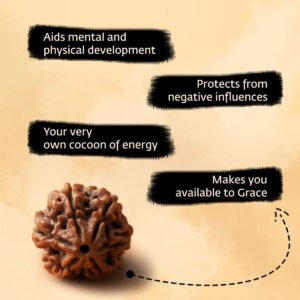 1 MUKHI RUDRAKSHA in Silver Pendant by Gangtarang®: AAA Quality | with Lab Certificate (Nepal Origin) - Image 2