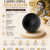 laddu gopal shaligram infographics