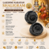 lakshmi narayan shaligram infographics