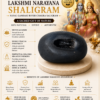 lakshmi narayan shaligram infographics