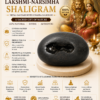 lakshmi narsimha shaligram infographics