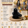 shaligram shivling infographics