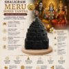 shaligram yantra infographics