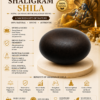 shaligram shila infographics