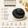 sudarshan shaligram infographics