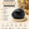 vasudev shaligram infographics