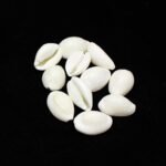 cowry