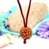 rudraksha in thread