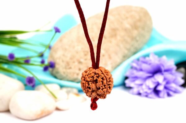 rudraksha in thread