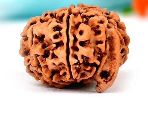 Nepali ganesh rudraksha with detailed view