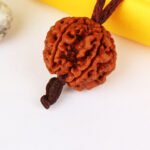 Rudraksha from nepal binded in thread in a best way