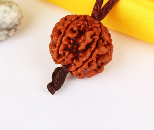 Nepali Rudraksha